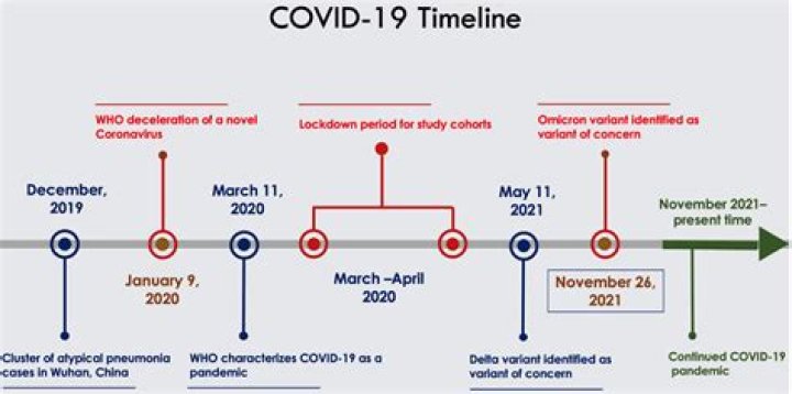 When did covid variants appear?