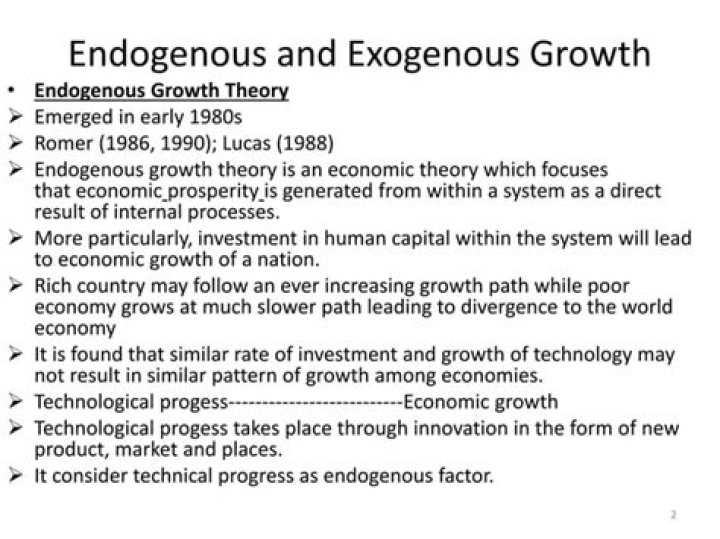 When did endogenous growth theory began?