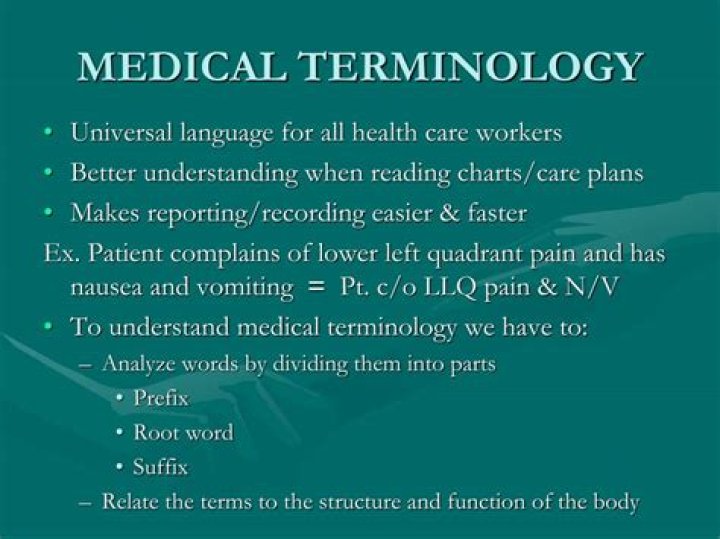 When did medical terminology begin?