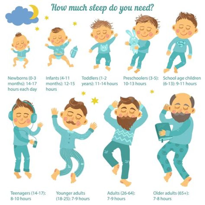 When do plovers sleep?
