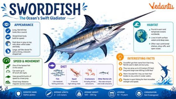 When do swordfish live?