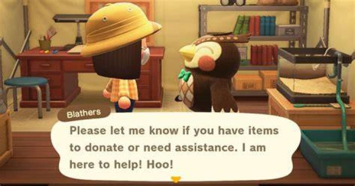 When does blathers come to the island?