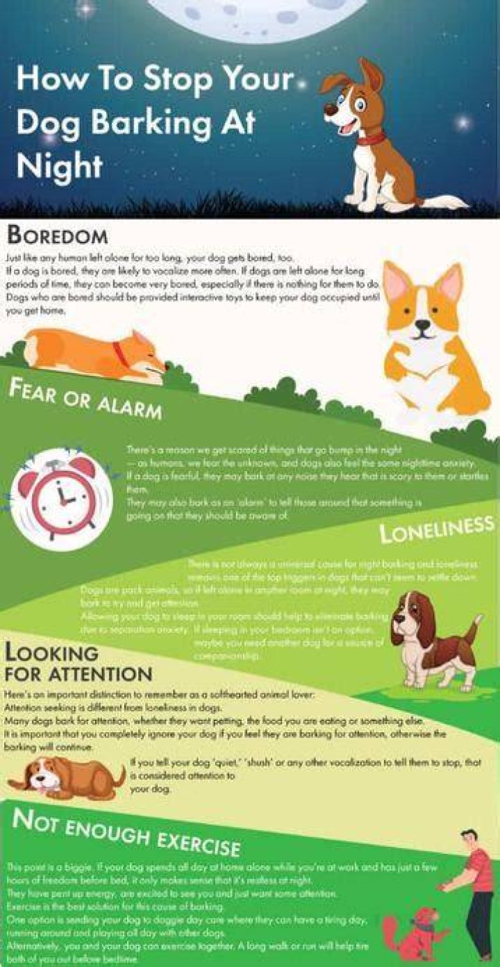 When dogs bark at night?