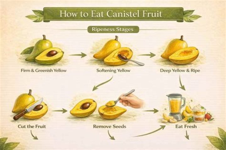 When is canistel ripe?