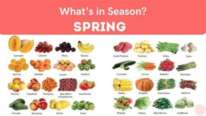 When is chestnut season uk?