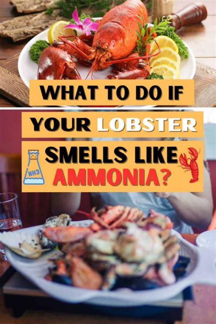 When seafood smells like ammonia?