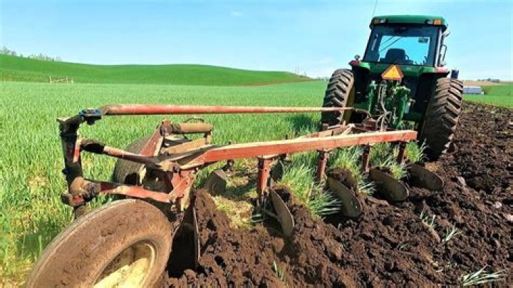 When to plow a field?