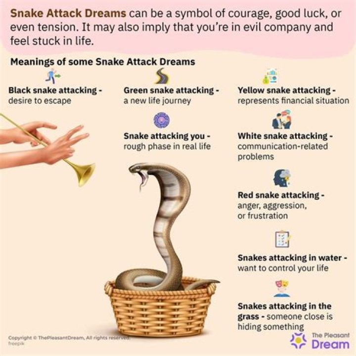When you dream eating snake?