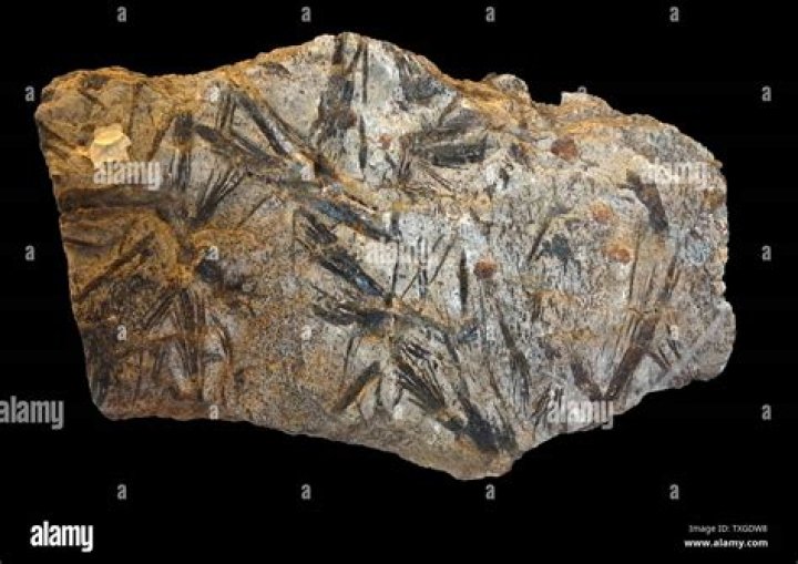 Where amphibole is found?