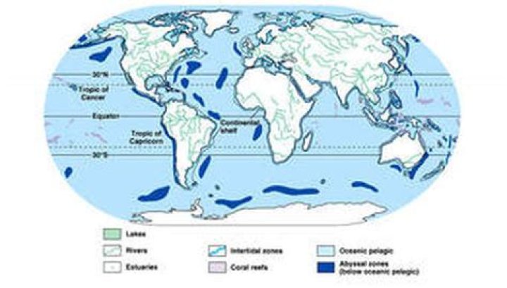 Where are aquatic biomes located?