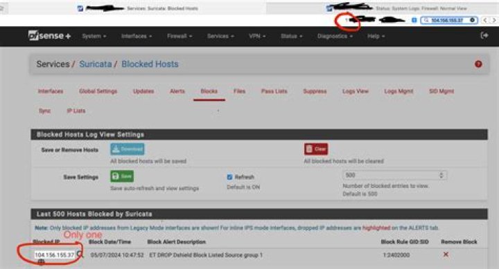 Where are suricata logs?