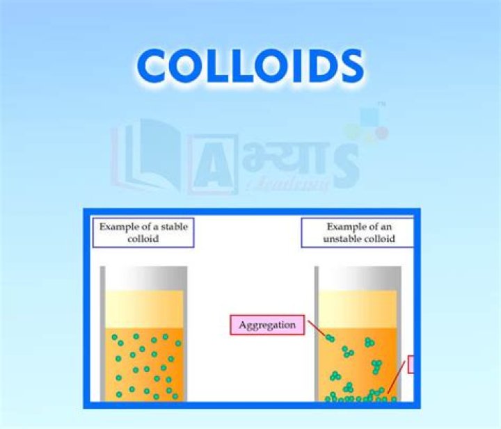 Where are the properties of colloids?