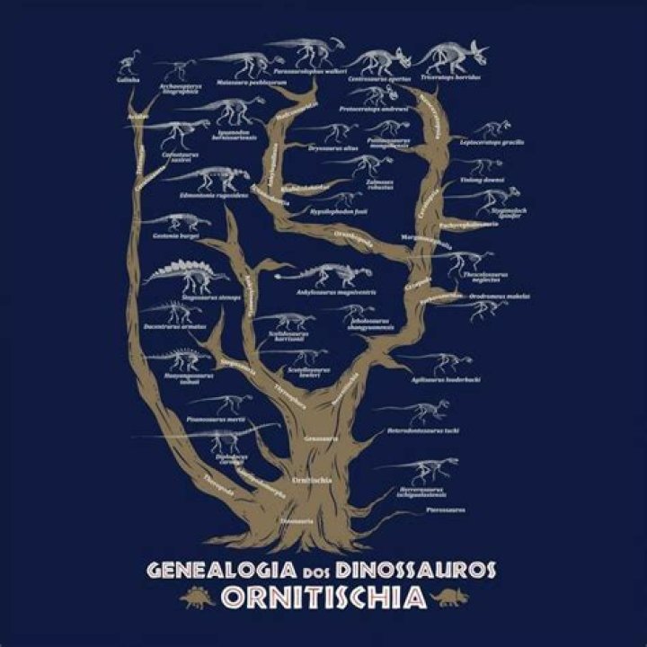 Where did ornithischian live?
