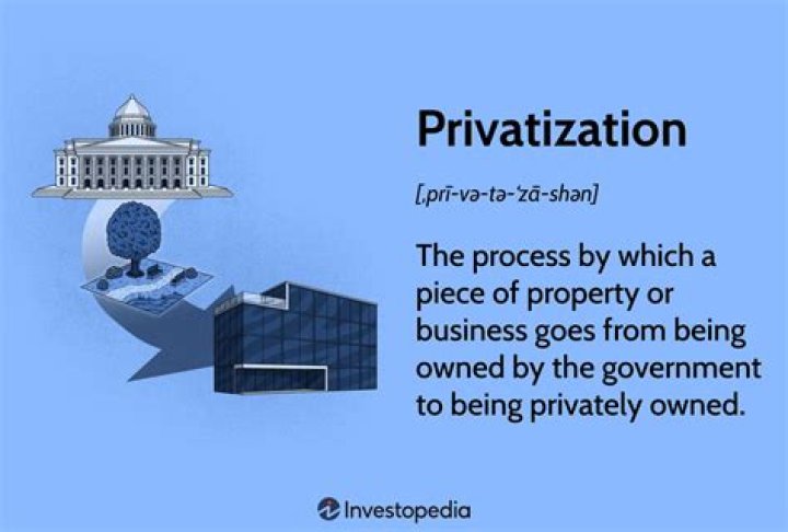 Where did the word privatize come from?