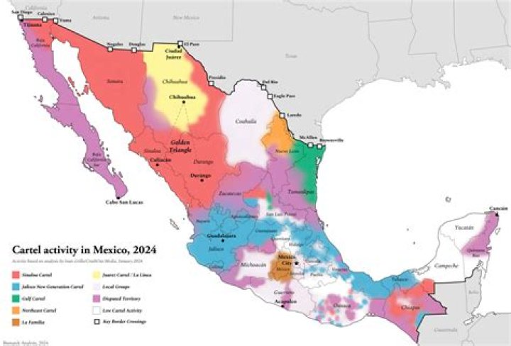 Where do cartels operate?
