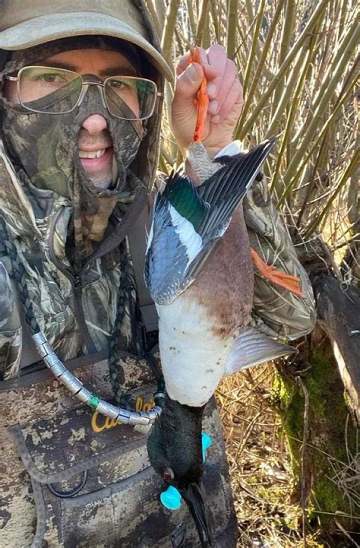 Where do northern shovelers live?