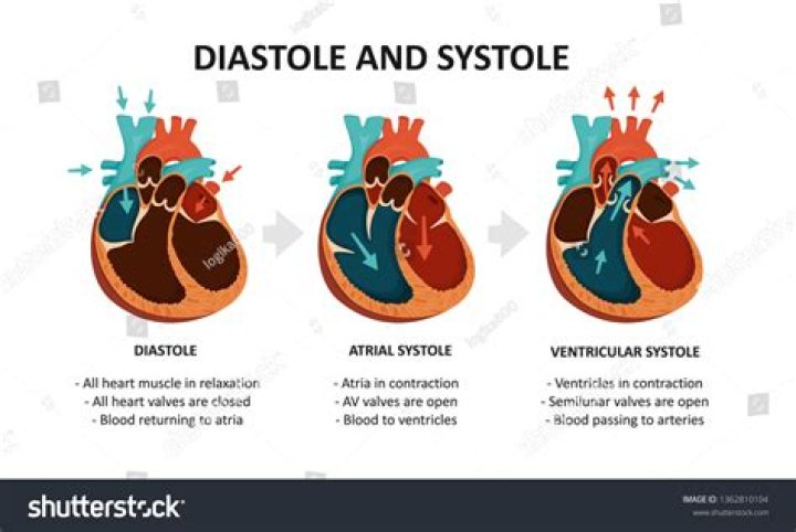Where does diastole occur?