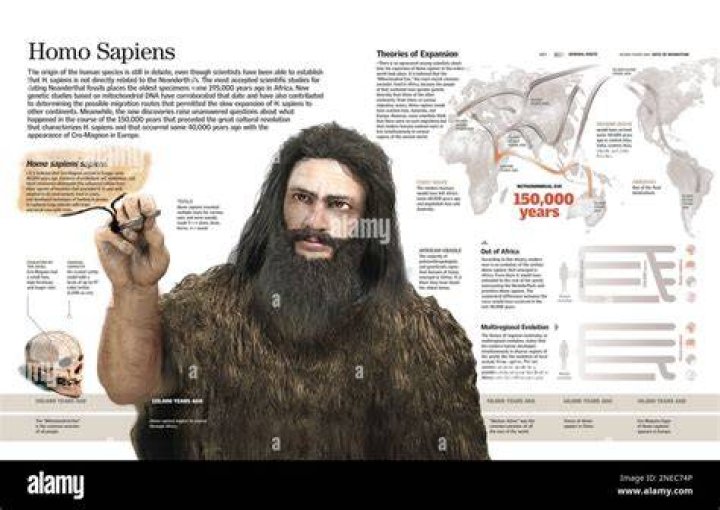 Where does homosapien come from?