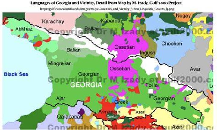Where does the georgian language come from?