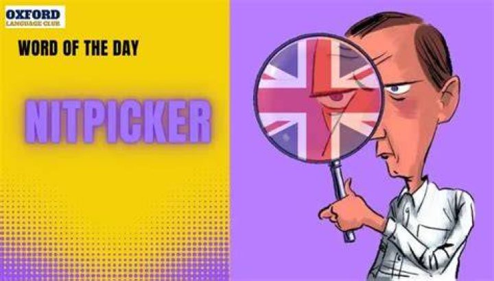 Where does the term nitpicker come from?
