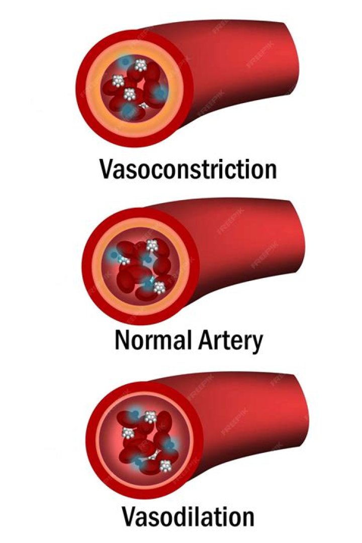 Where does vasodilation and vasoconstriction occur?