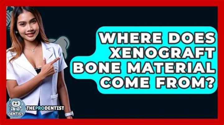 Where does xenograft come from?
