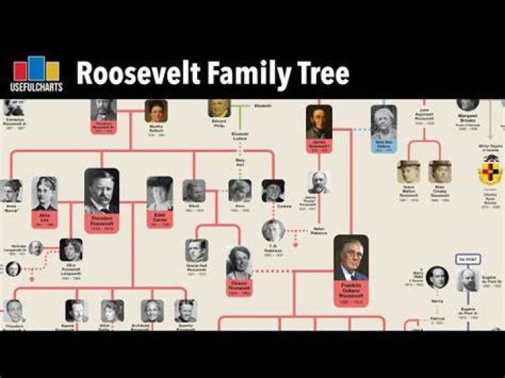 Where eleanor and franklin roosevelt cousins?