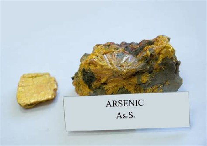 Where is arsenics family name?