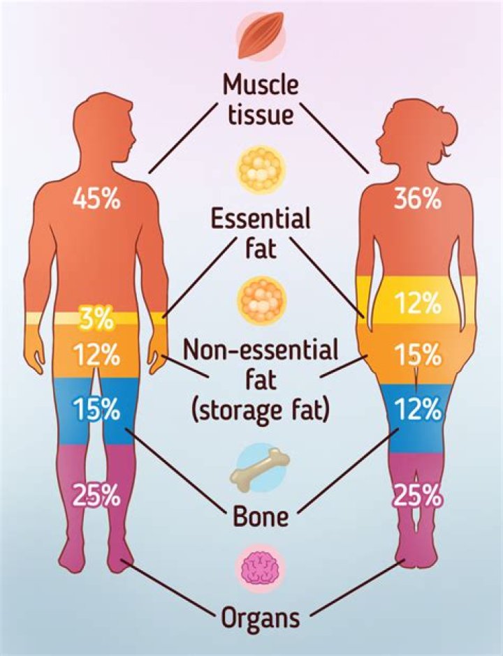 Where is naphthalene stored in the body?