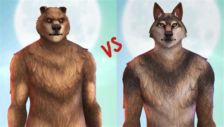 Where is the werebear brother?