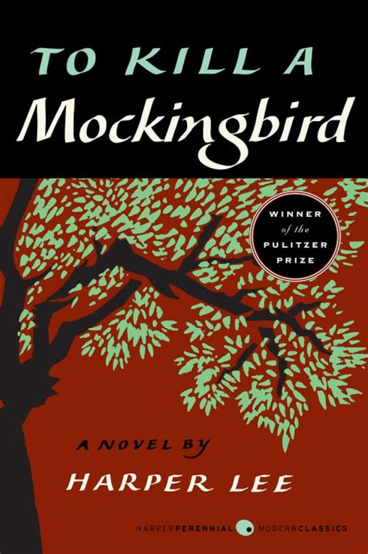 Where is the word obstreperous in to kill a mockingbird?