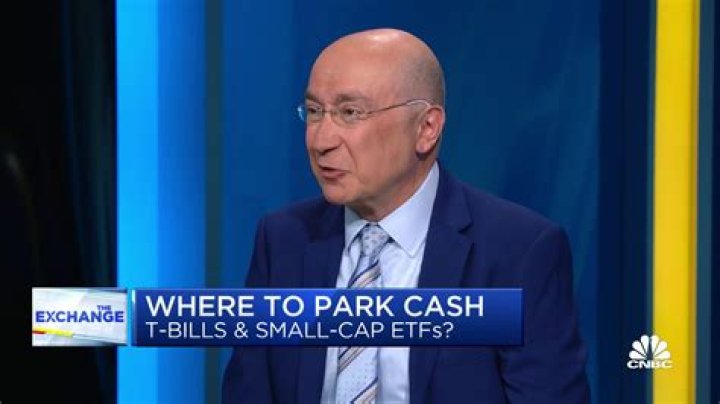 Where to temporarily park cash?