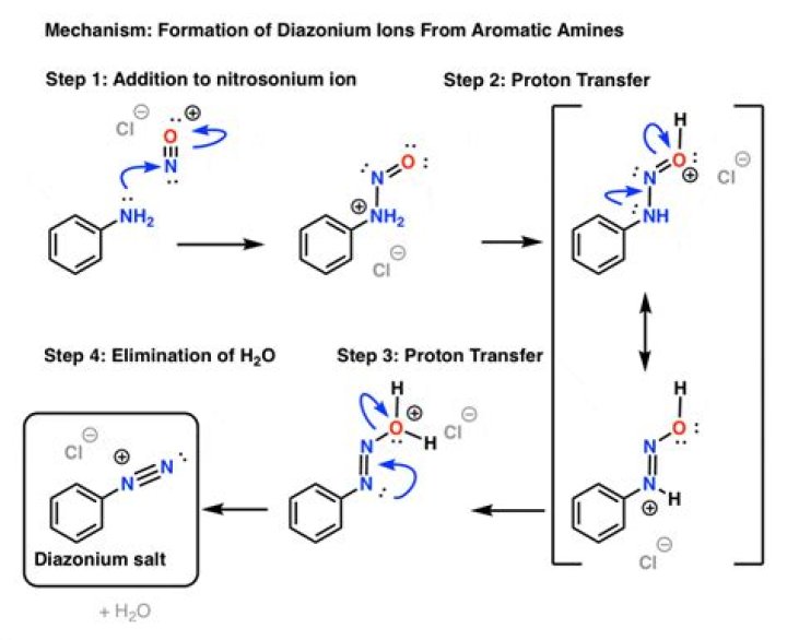 Which amines show diazotization reaction?