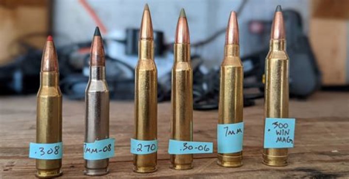 Which calibers are short action?