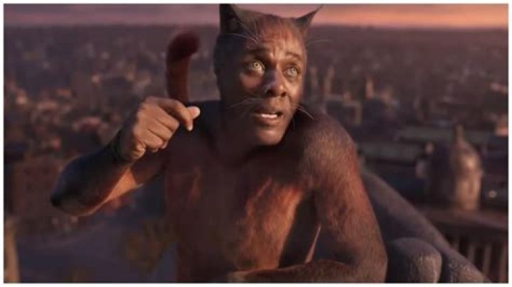 Which cat is idris elba?