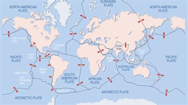 Which continents do ocelots live in?