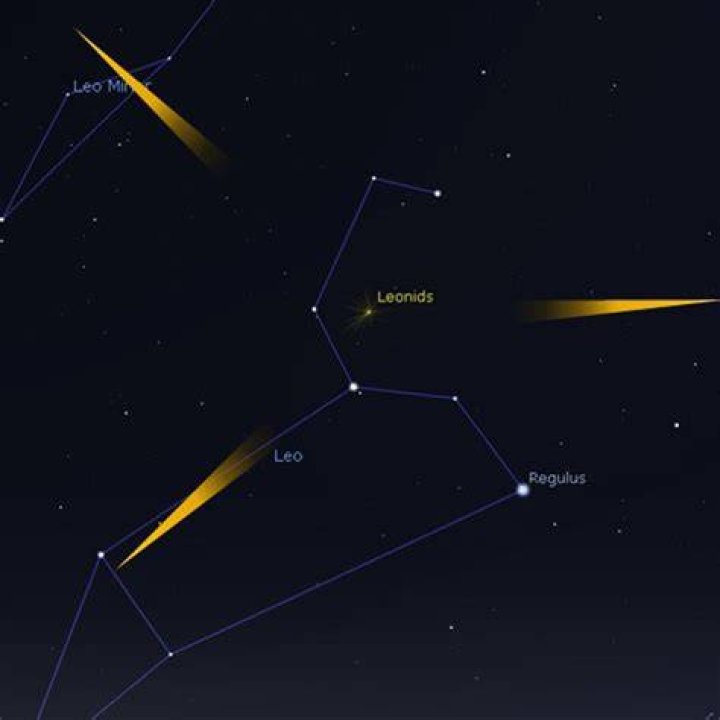 Which direction to look for leonid meteor shower?