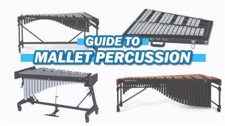 Which family does the glockenspiel belong to?