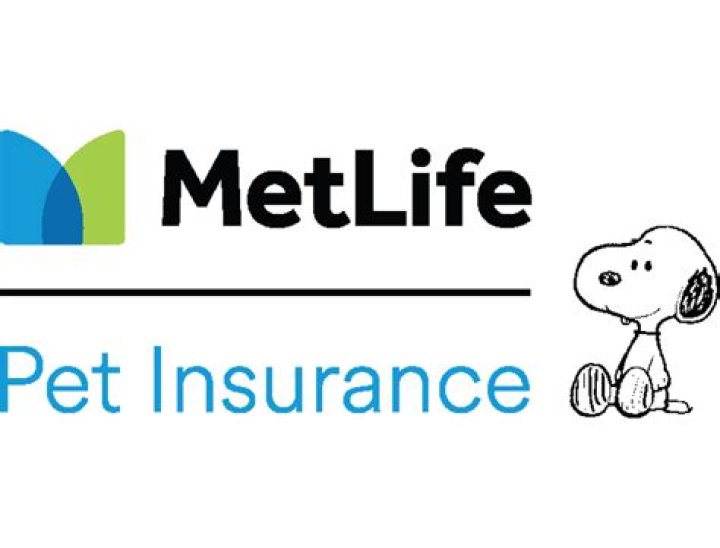 Which insurance has snoopy?
