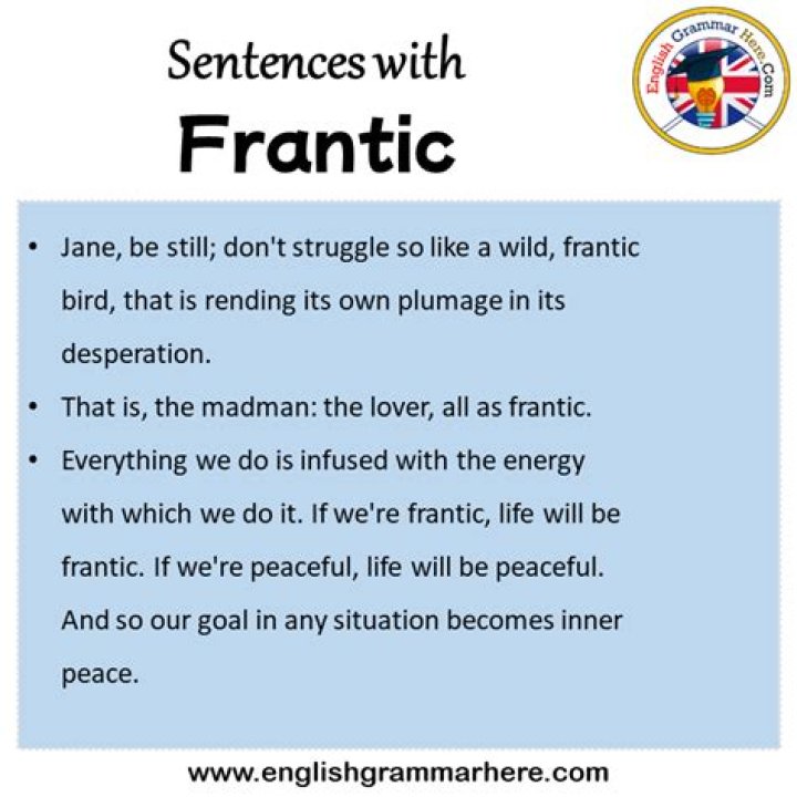 Which is the closest antonym for the word frantic?