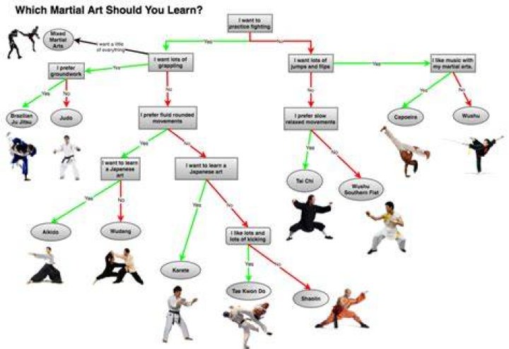 Which martial art should i learn?