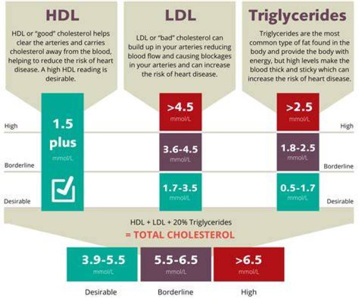 Which test measures hdl and ldl in the blood?