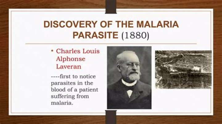 Who discovered malaria parasite?