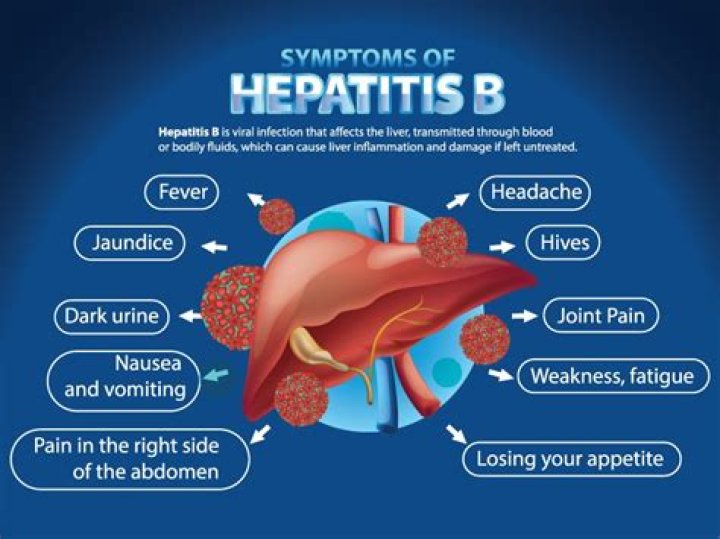 Who do you get hepatitis b?