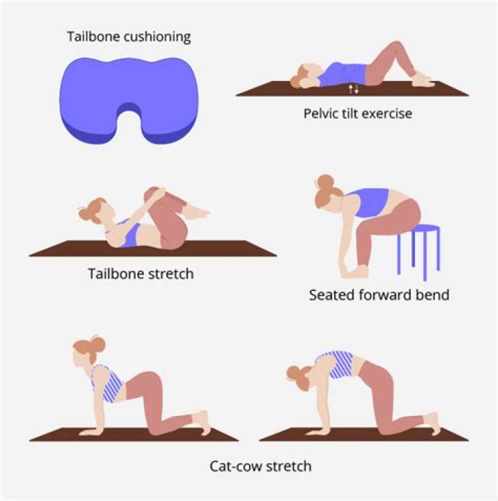 Who do you spell coccyx?