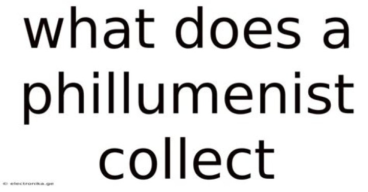 Who does a phillumenist collect?