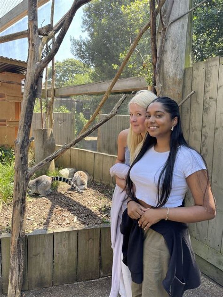 Who is abendegos in zoo?