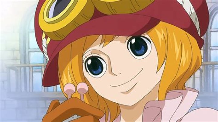 Who is koala in one piece?