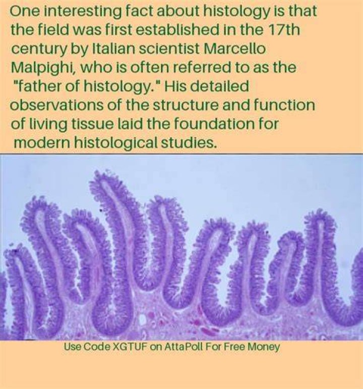 Who is the father of histology?
