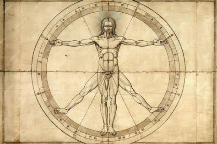 Who is the vitruvian man?